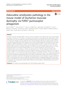 Zidovudine ameliorates the pathology in the mouse model of Duchenne muscular dyctrophy