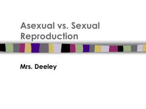 Asexual vs. Sexual Reproduction