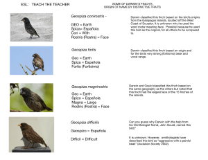 Darwin's Finches ESL Lesson