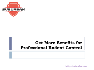 Get More Benefits for Professional Rodent Control