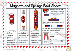 Magnets and Springs Double Sided Fact Sheet