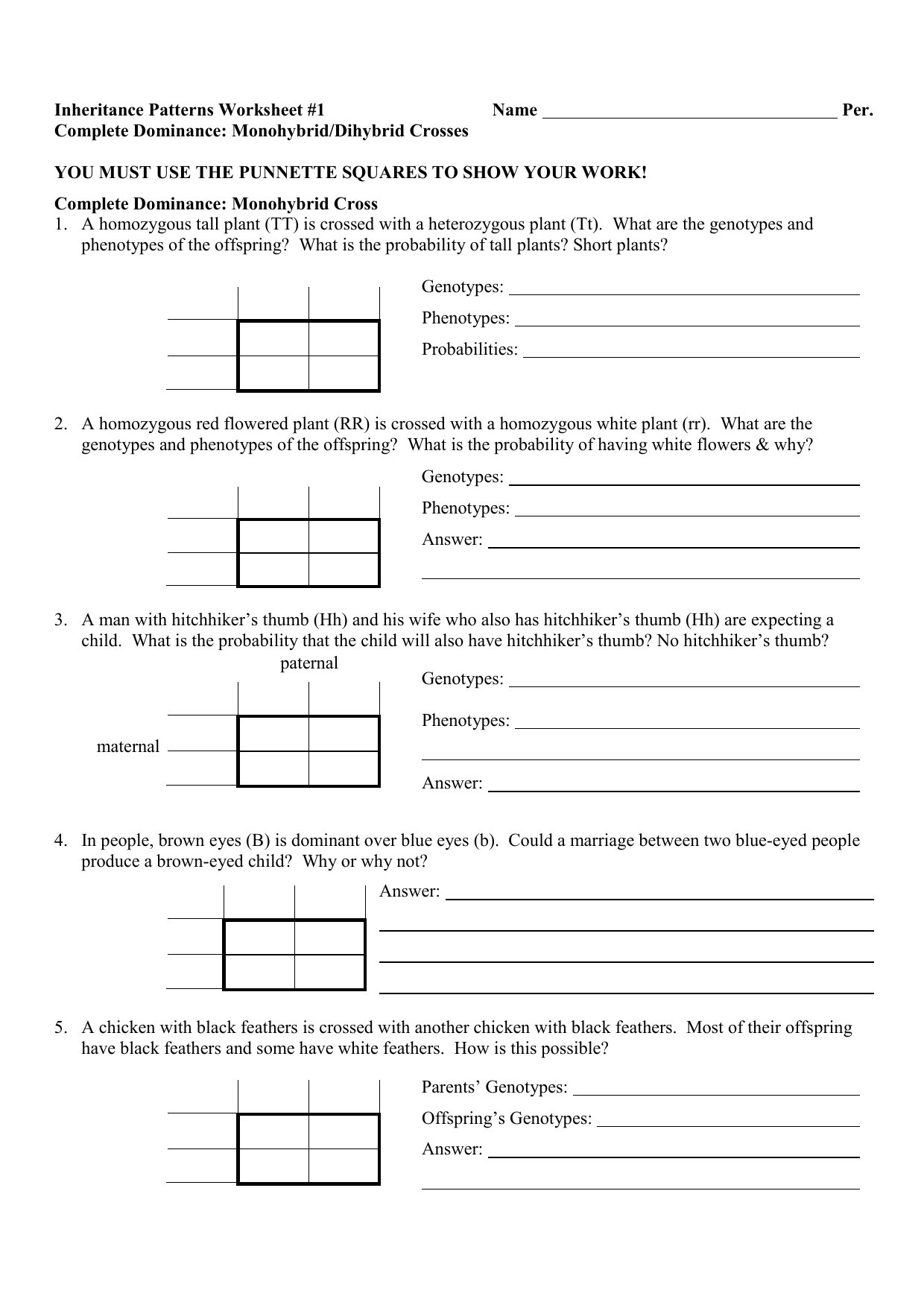 monohybrid cross worksheet