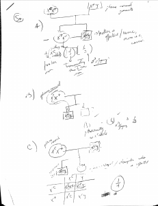 X-Linked Inheritance Genetics Notes