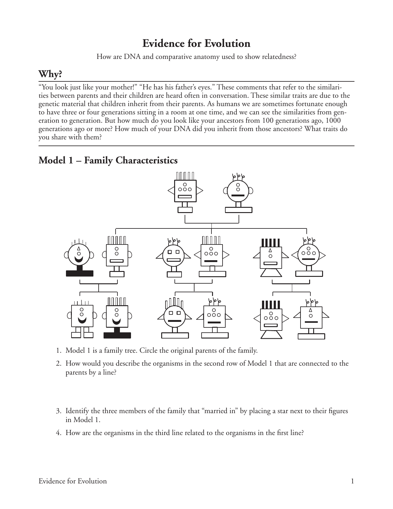 23 Evidence for Evolution-S Inside Evidence For Evolution Worksheet Answers