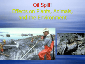 oil spill effects