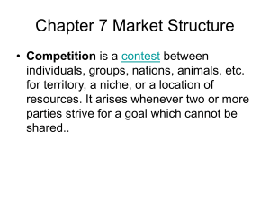 Chapter 7 Market Structure (1)