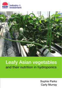 Leafy-Asian-veg-final-Low-Res