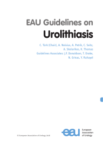 EAU-Guidelines-on-Urolithiasis-2018-large-text