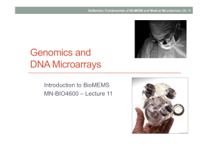 Lecture 11 Genomics DNA Microarrays-3