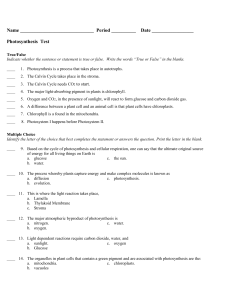 photosynthesis TEST