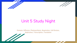 Unit 5 Study Night