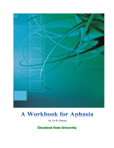 Aphasia Workbook