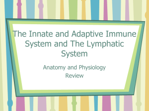 Anatomy and Physiology PPT Review for Lymphatic System, and Innate, and Adaptive Immune System