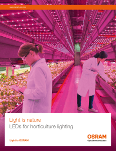 Horticulture and LEDS