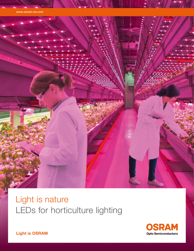 OSRAM LEDs for Horticulture Lighting: Professional & Consumer Solutions