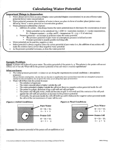 studylib.net - Essays, homework help, flashcards, research papers, book