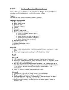 Identifying Physical and Chemical changes Lab 2018