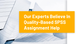 Our Experts Believe In Quality-Based SPSS Assignment Help