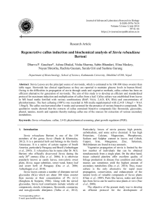 Regenerative callus induction and biochemical analysis of Stevia rebaudiana Bertoni