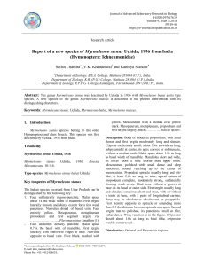 Report of a new species of Myrmeleono stenus Uchida, 1936 from India (Hymenoptera: Ichneumonidae)