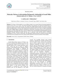 Molecular Markers in determining Phylogenetic relationship in Foxtail Millet (Setaria italica (L.) P. Beauv.) Var. Co(Te)7