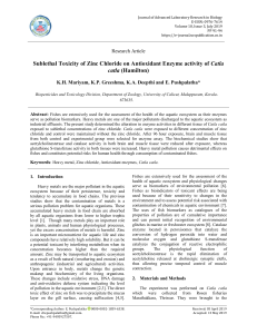 Sublethal Toxicity of Zinc Chloride on Antioxidant Enzyme activity of Catla catla (Hamilton)