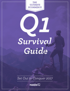 Q1 Guide Nosto updated