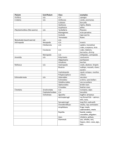 SMC Zoology Classification cheat sheet
