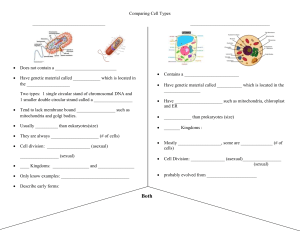 Comparing Cell Types