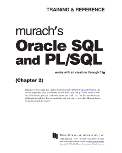 PL SQL chapter 2