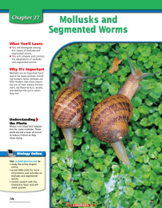 chapter 27 mollusks and segmented worms pdf