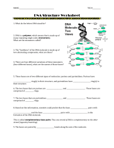 14 - DNA Structure Worksheet