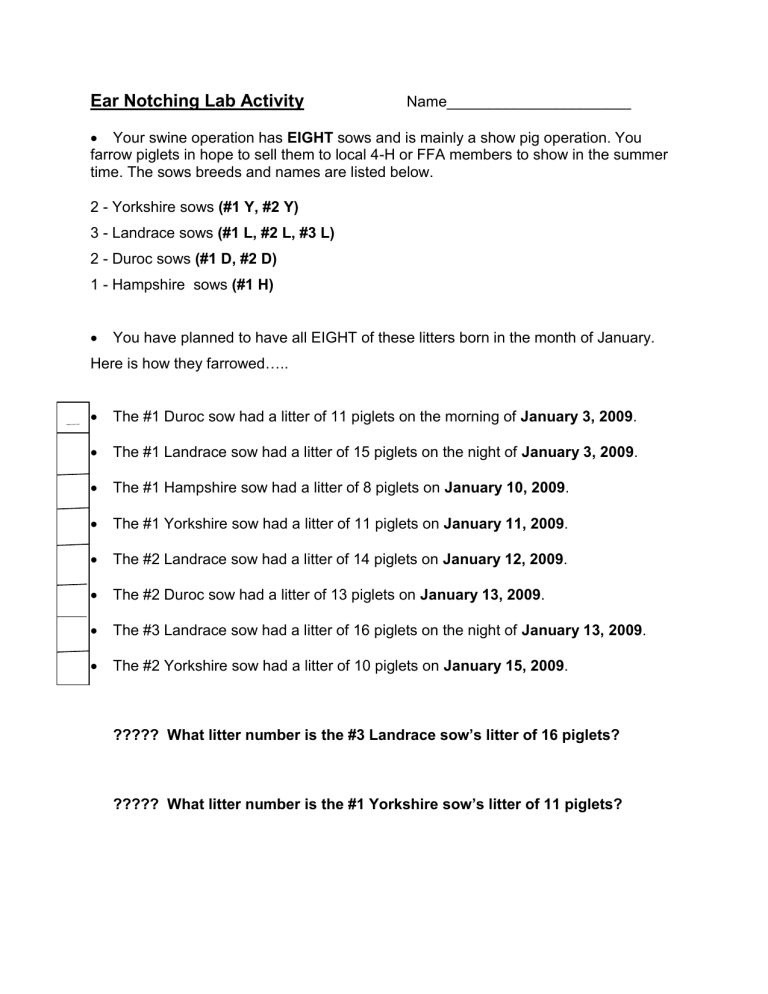 Ear Notching Lab Activity