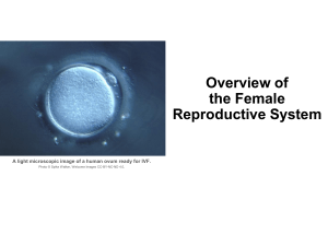 Female and Male Reproductive Systems