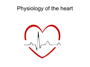 Physiology of the heart