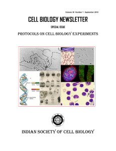 Protocols CellBiology