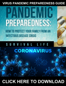 Virus Pandemic Preparedness Guide PDF, eBook of Virus Pandemic Preparedness Guide