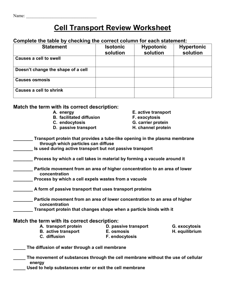 Cell Transport Review Worksheet