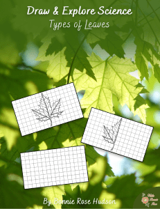 Draw-and-Explore-Types-of-Leaves