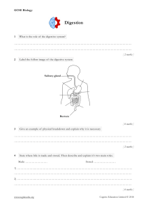 GCSE-Biology---Digestion-Worksheet-