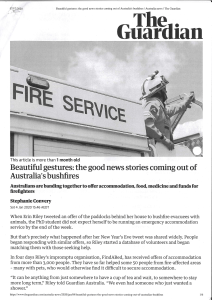Bushfire Article 