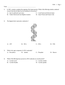 DNA-Protein synthesis Test