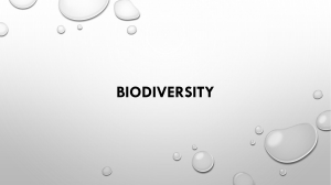 biodiversity in indonesia