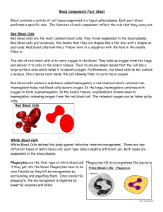 Blood Components Fact Sheet