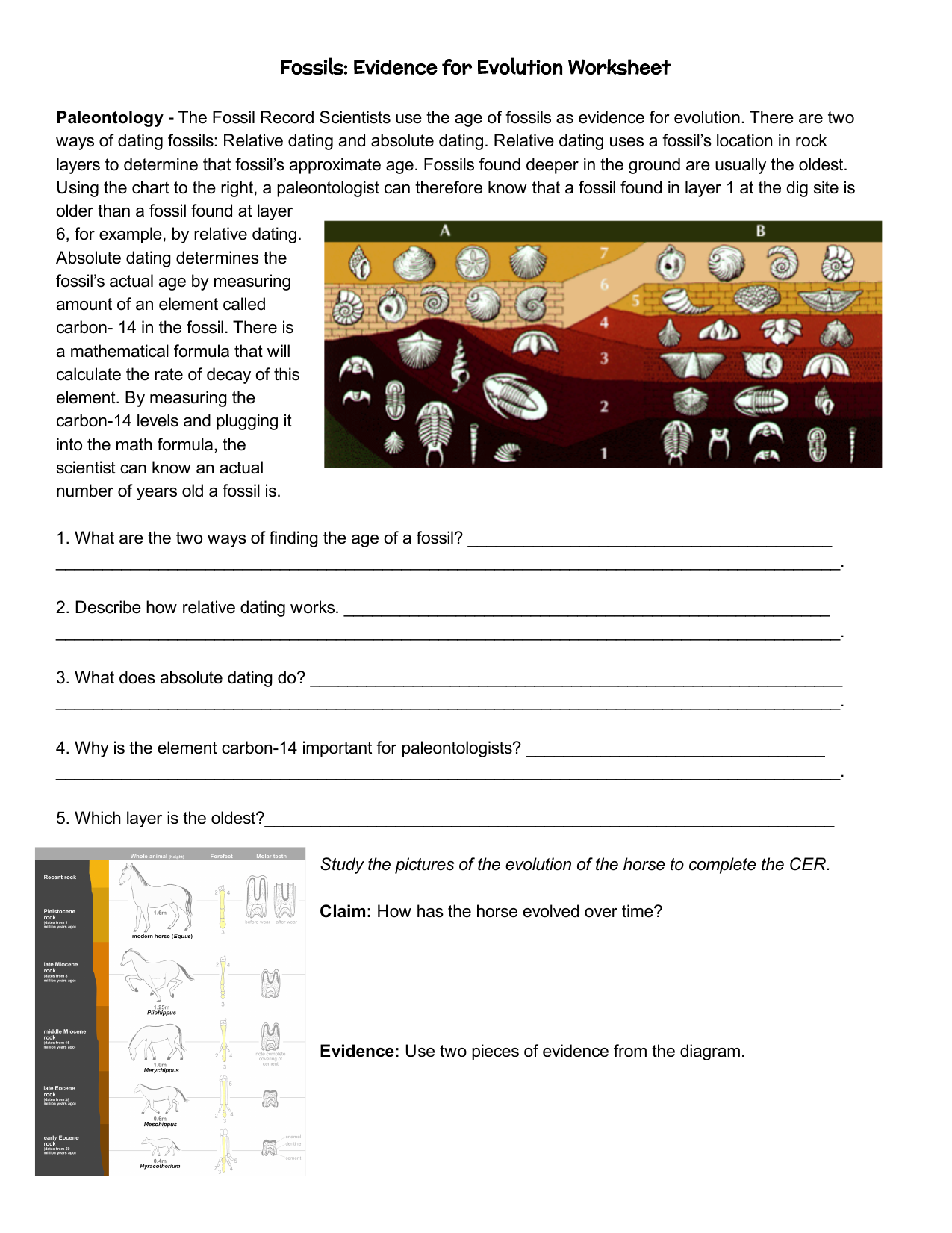 Fossils Evidence for Evolution WS Within Evidence For Evolution Worksheet