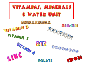 Food-Vitamins-and-Minerals