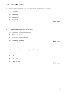 Topic 4 Past Exam MC Questions