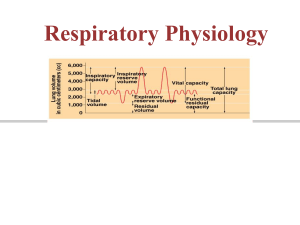Respiratory system presentation power point