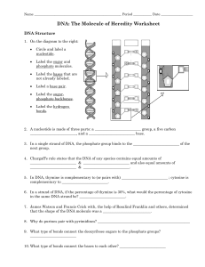 1-dnastructurereplicationworksheet