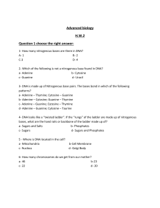 Advanced Biology DNA Homework: Structure & Function